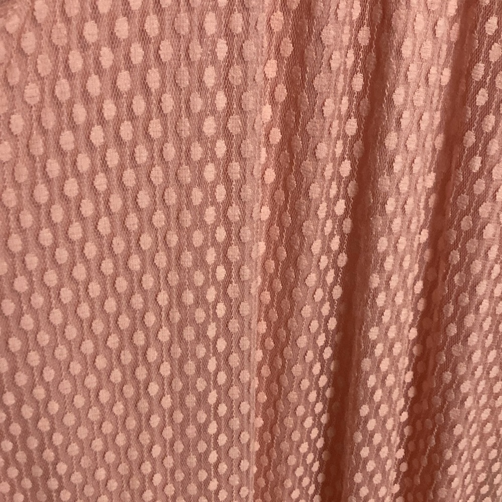 Nina Leonard Pink Peach Sheer Mock Neck Dress Swiss Dot Large Romantic Feminine - Picture 5 of 8